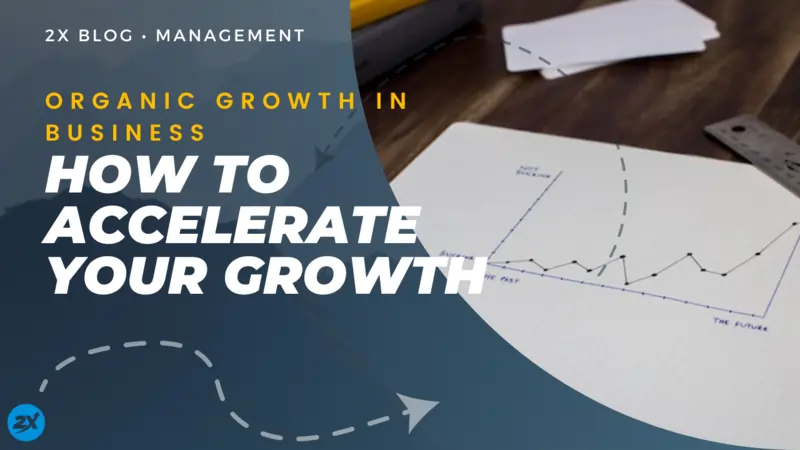 Organic Growth in Business How to Accelerate Your Growth